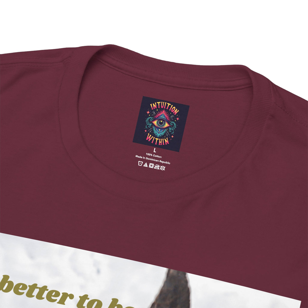 Better Than a Whole Ass Donkey Humor Tee – Front Print | Intuition Within