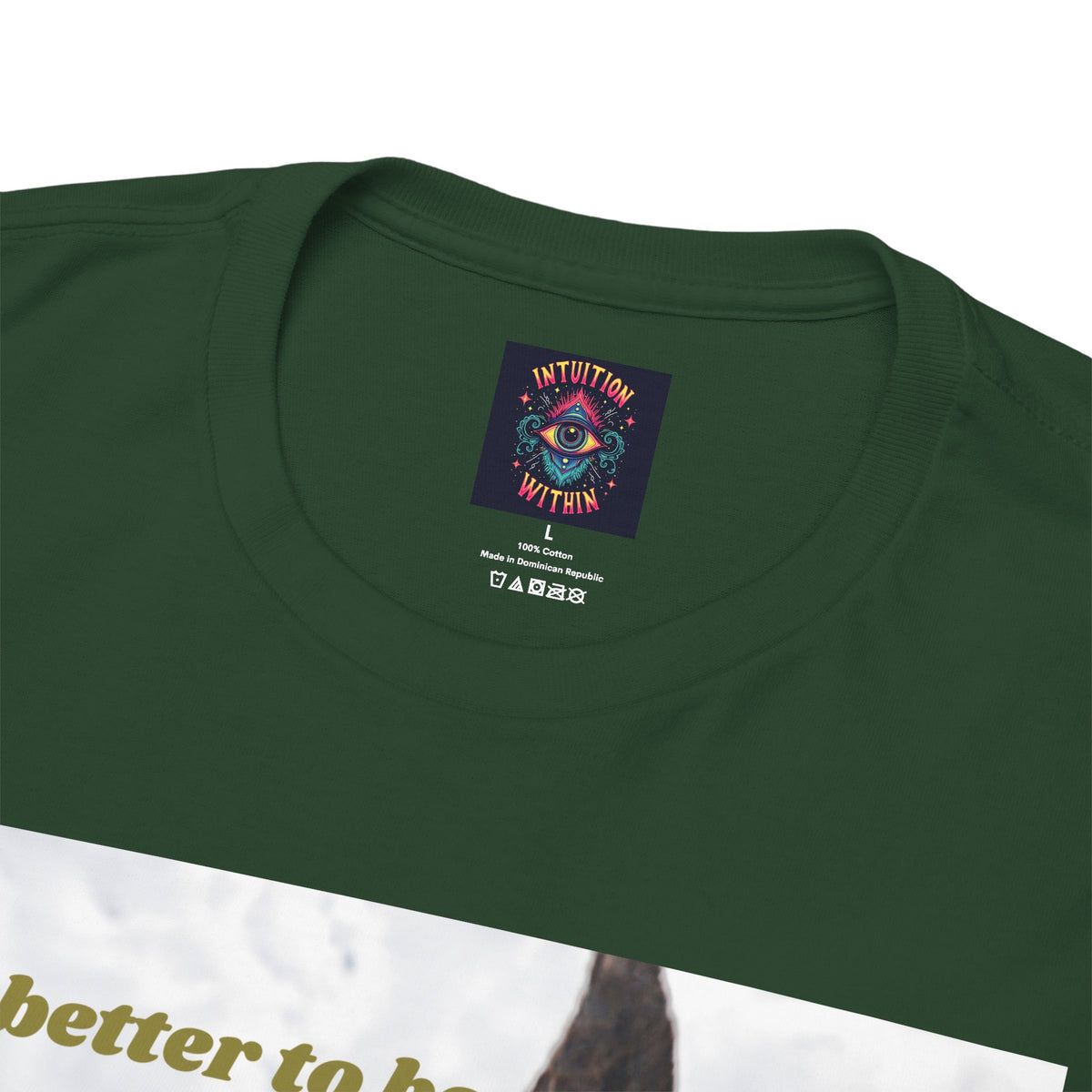 Better Than a Whole Ass Donkey Humor Tee – Front Print | Intuition Within